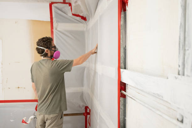 Best Comprehensive Air Testing for Mold Contaminants  in Kingman, AZ