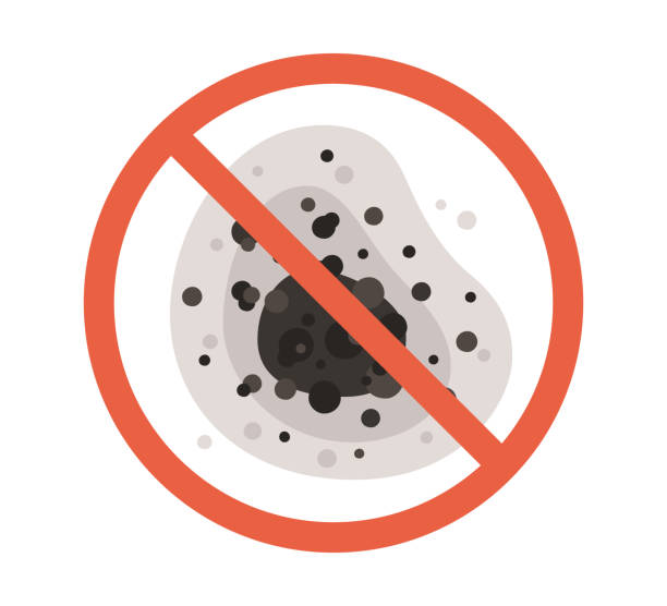 Best Mold Damage Restoration  in Kingman, AZ