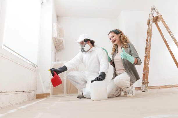 Best Mold Remediation for Healthcare Facilities  in Kingman, AZ